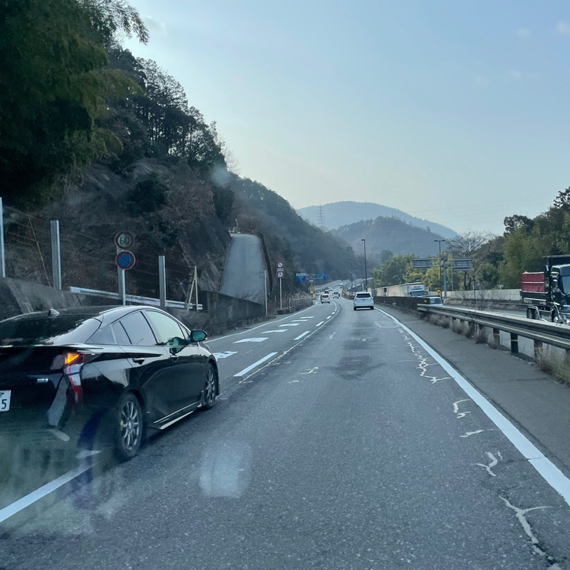 #2329 気持ちは分かります^ ^