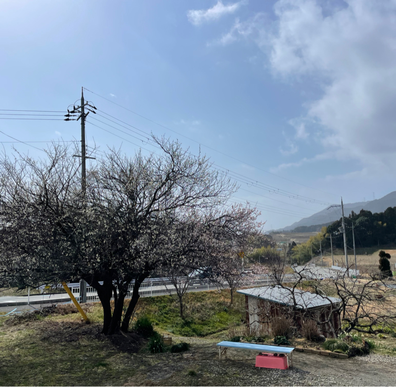 #2340 ぐずぐず言ってないで走ろう