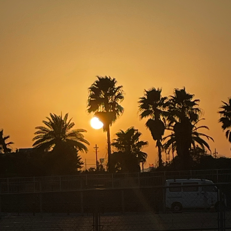 #2346 予定のない連休の使い方が…