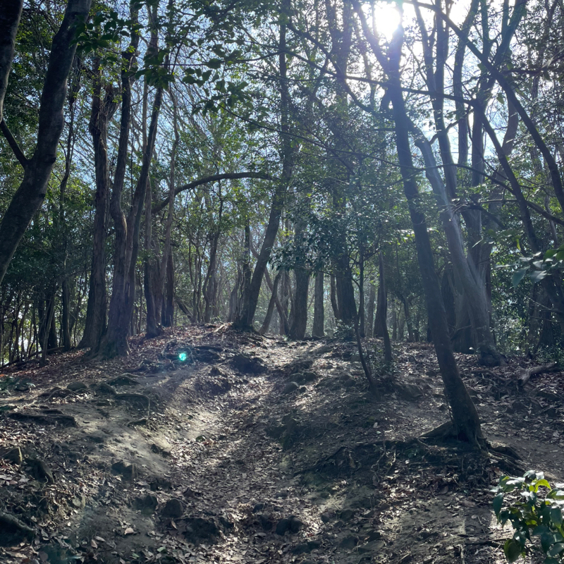 #2351 登山の予行練習