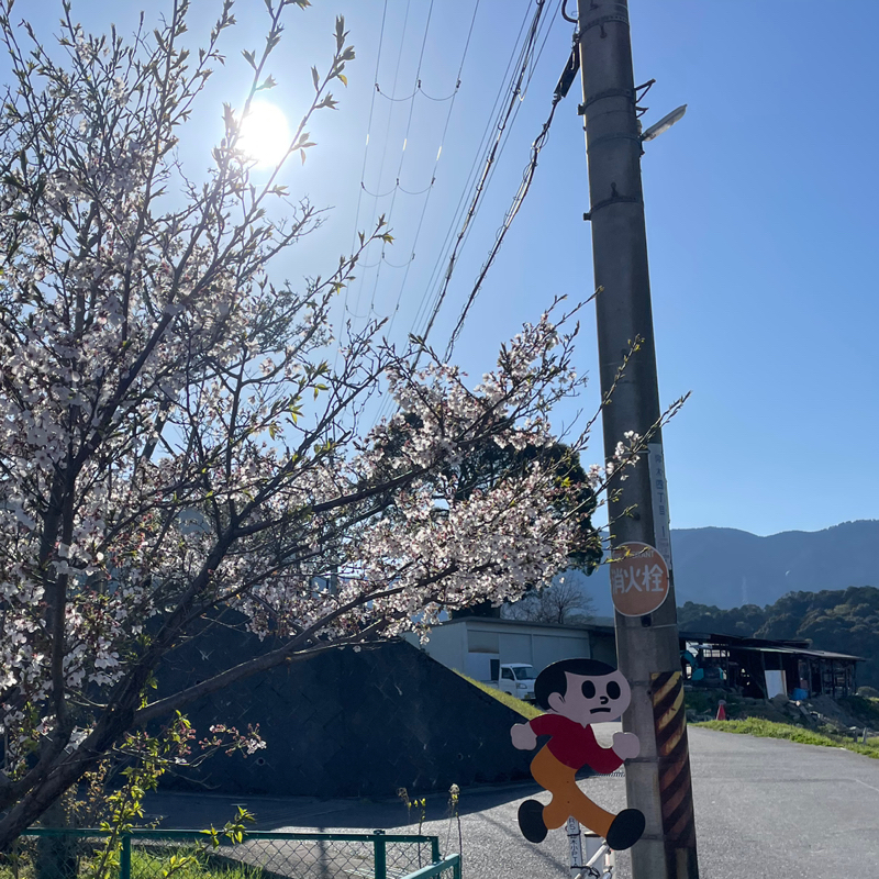 #2380 いい流れが流れている