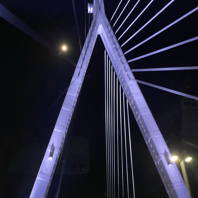 #2386 能動的行動🤣