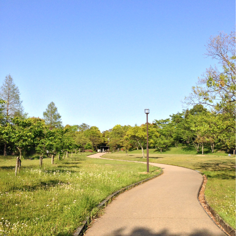 #2388 学歴社会から次のステップの本当の移行って…