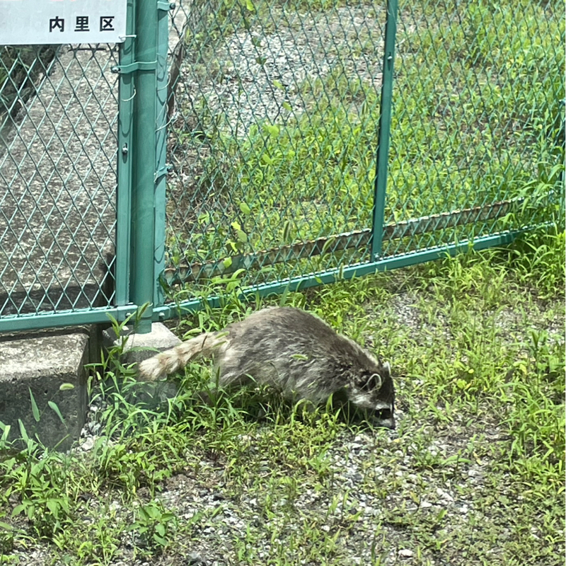 #2463 上だけじゃなく下からも①