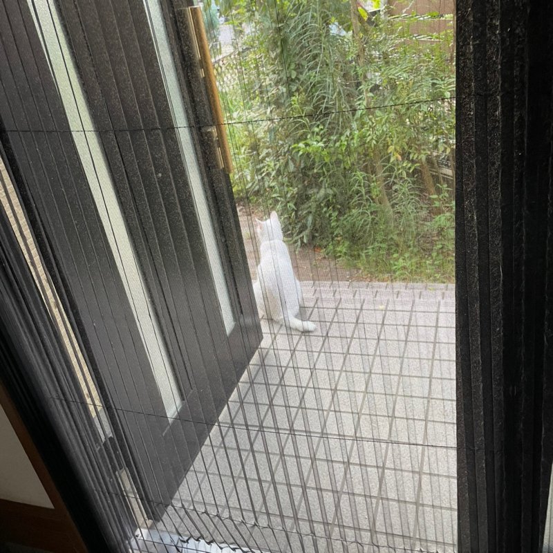 #2480 フォローしてくれる取引先さん