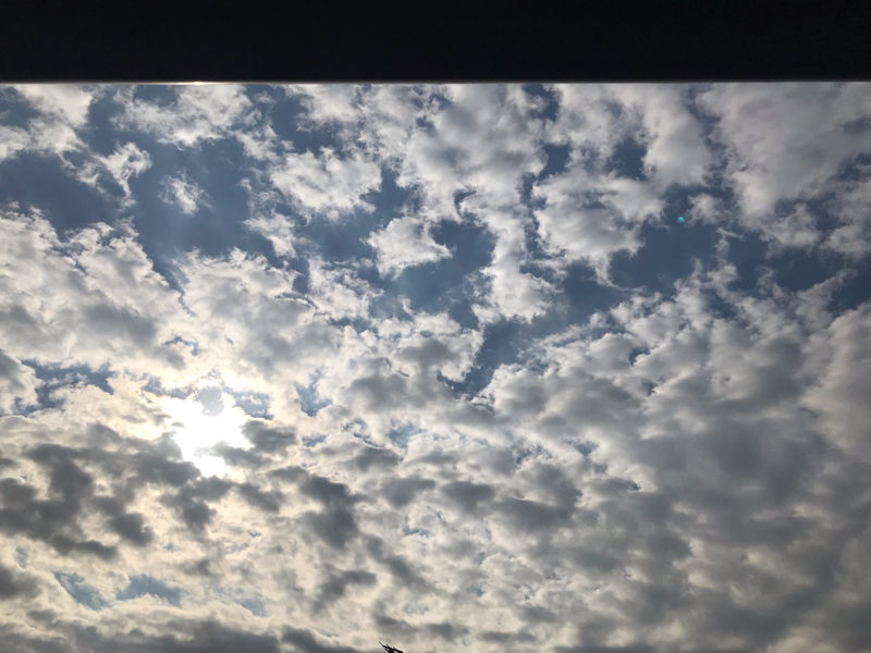 11/10 意識が変わるとみえるものも変わる