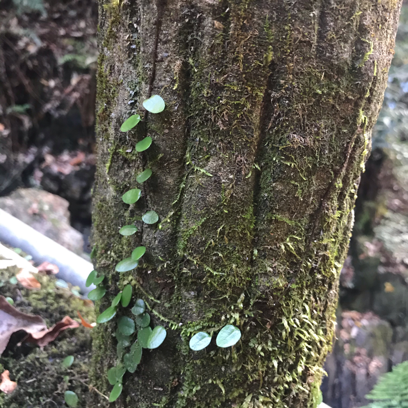 12/5 学歴、経歴を活かす