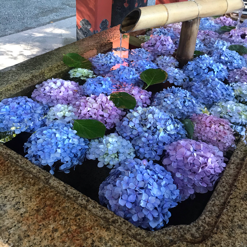 7/2 大きく動いた