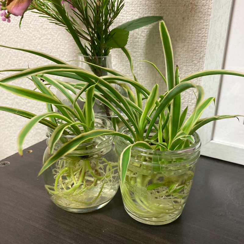 10/18 脳断捨離ケア