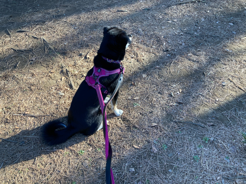 2021.2/25 引き算で変化が加速する