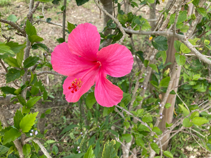 2021.4/16 足し算じゃなくて掛け算の