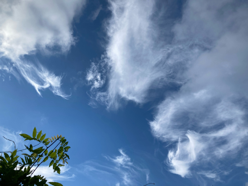 2021.7/21 持続可能な社会