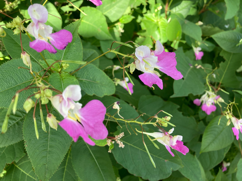 2021.9/1 新しい一歩に繋がる