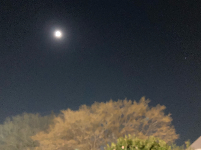 2021.12/19 周波数を合わせるってこんな感じ