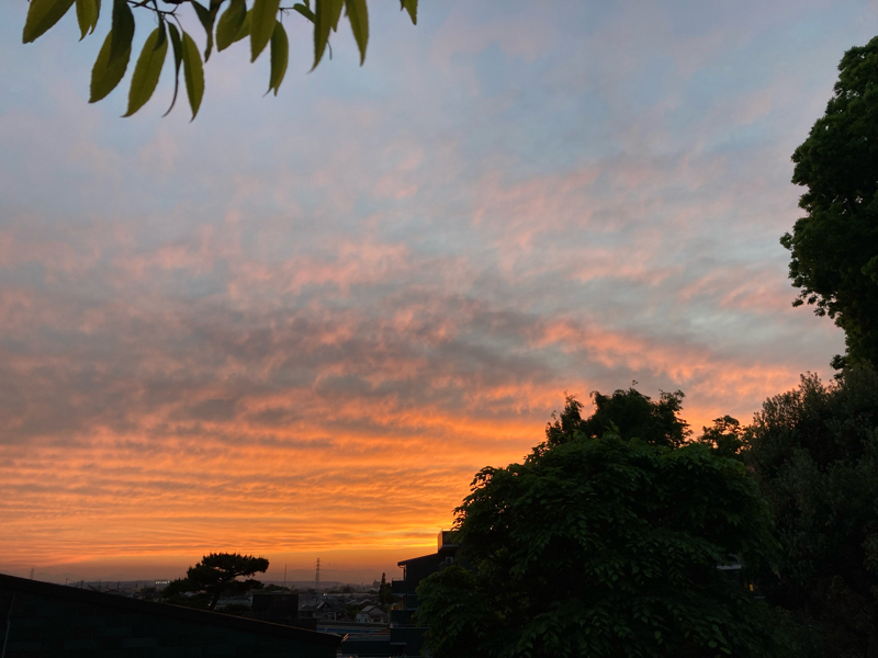 2022.5/6 どこかにある記憶