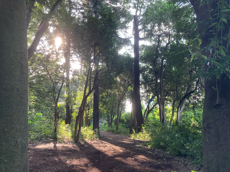 2022.8/20 代官山2日目CCでました