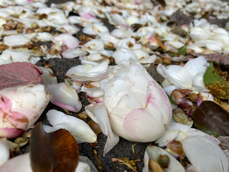 2023.11/7 明日も楽しみだな