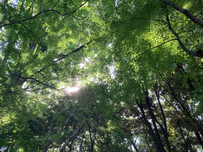 2024.7/29 不幸でいる暇なんてない from Radiotalk