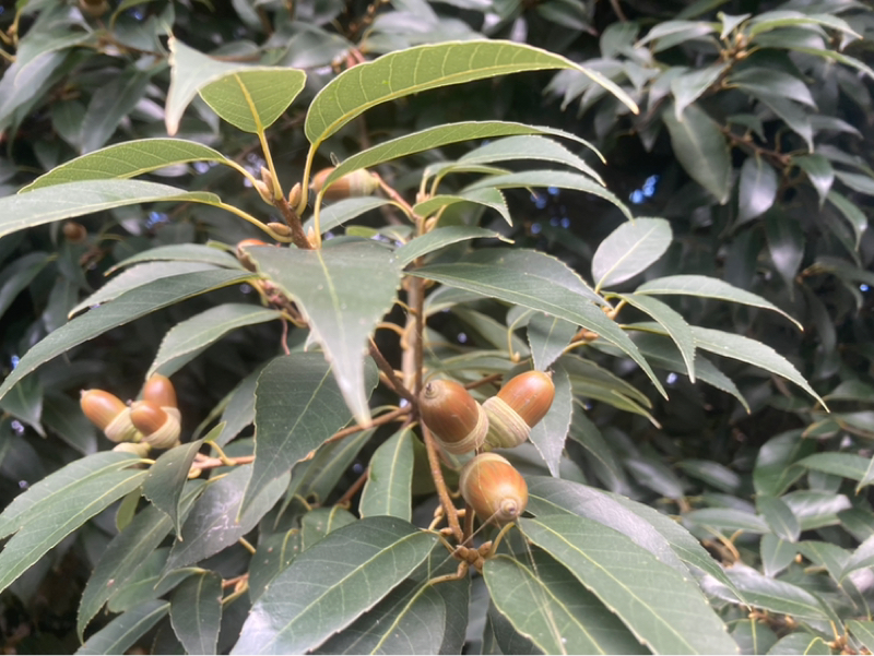 2025.10/30 意図と感情をキープする