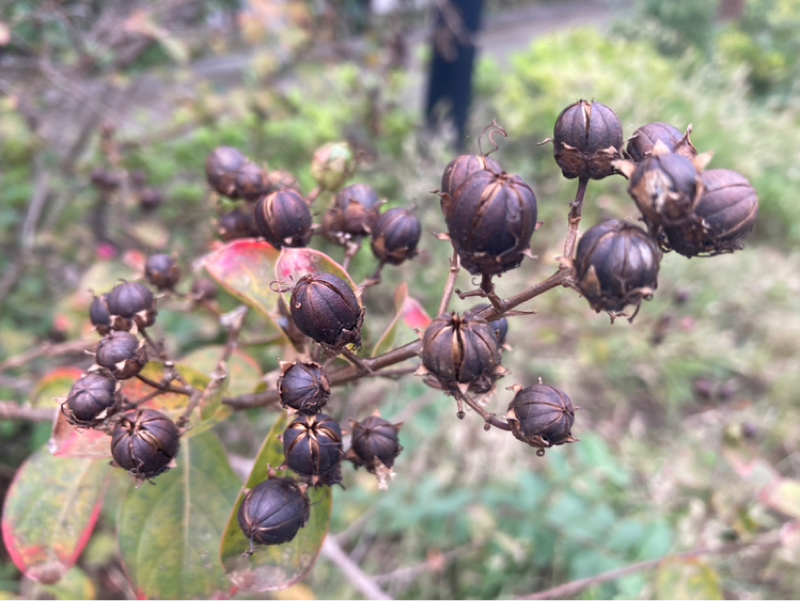 2025.10/31 習慣にする方法