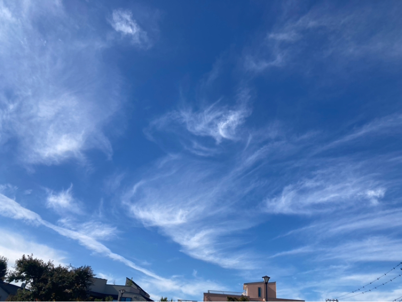 2025.11/4 違和感は瞬時に摘む