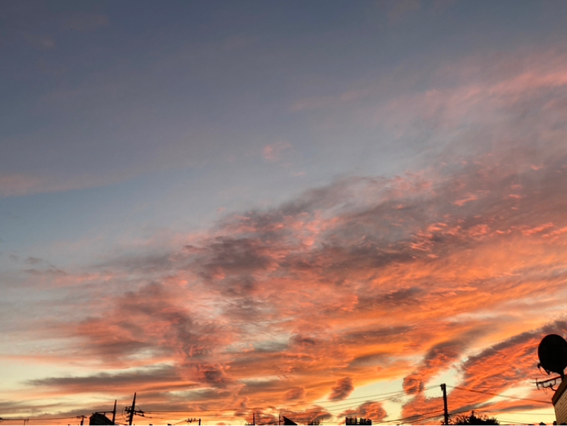 2025.11/6 コヒーレントな場