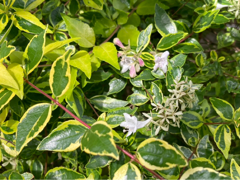 2025.11/7 先まで届くエネルギーで