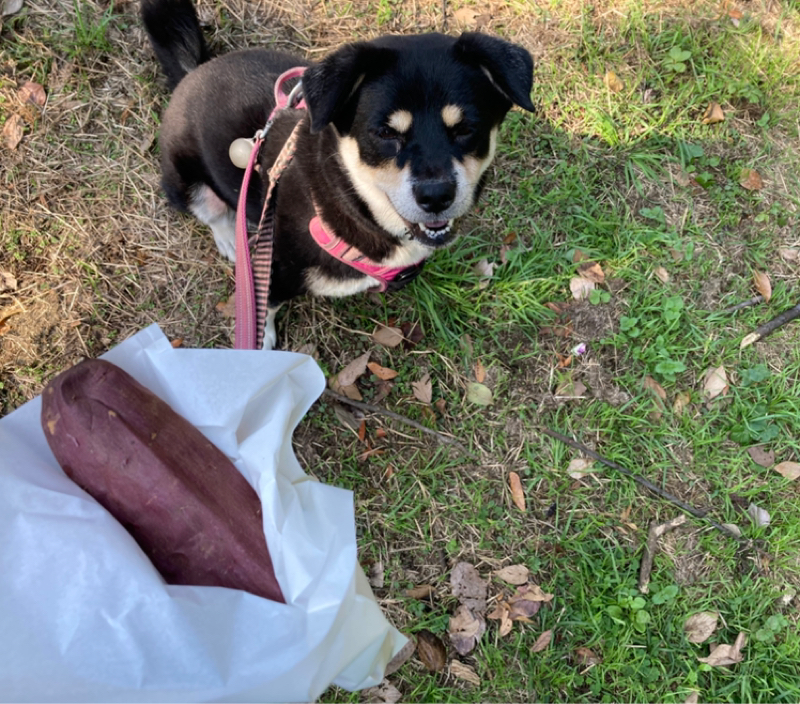 2025.11/8 現実と想像の区別がつかない