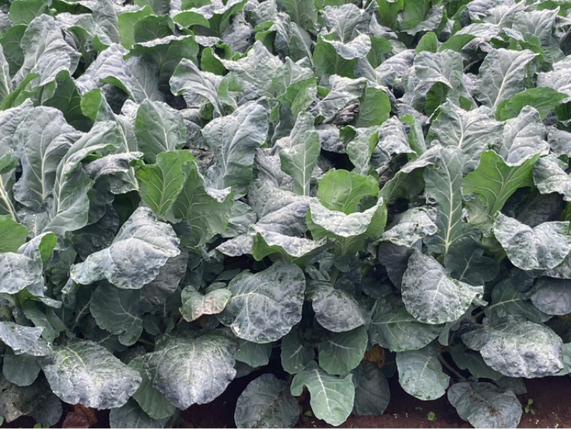 2025.11/9 身体の周波数を合わせる