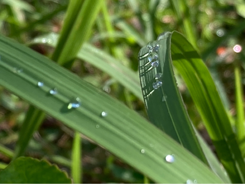 2025.11/10 からだに触れる時間