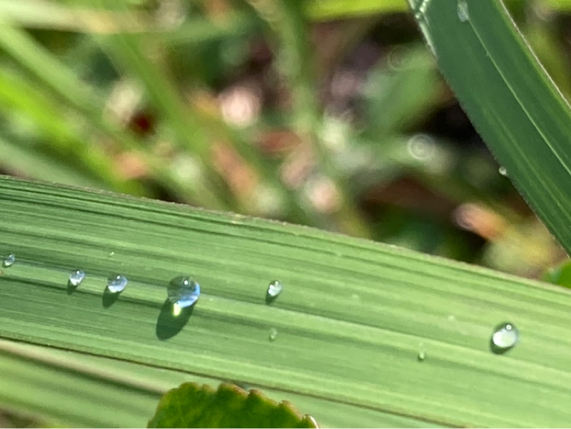 2025.11/12 うまくいくと困ること