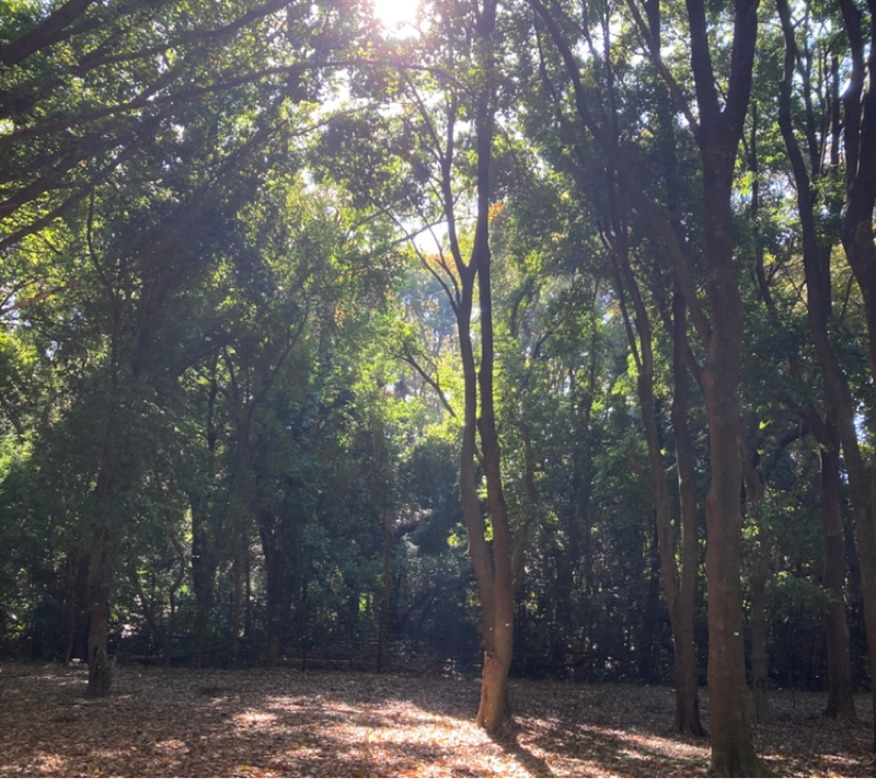 2028.11/14 ひとつの言葉