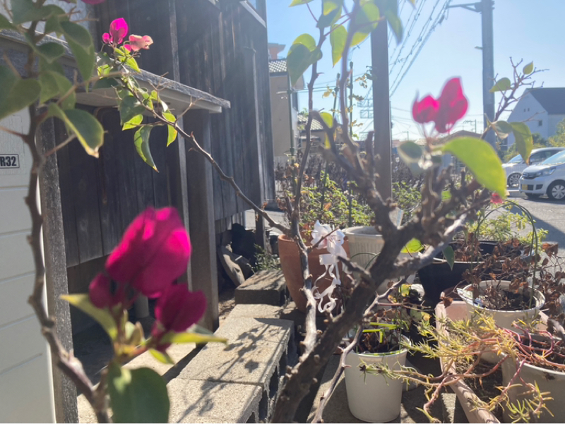 2025.11/15 エネルギーをあげると