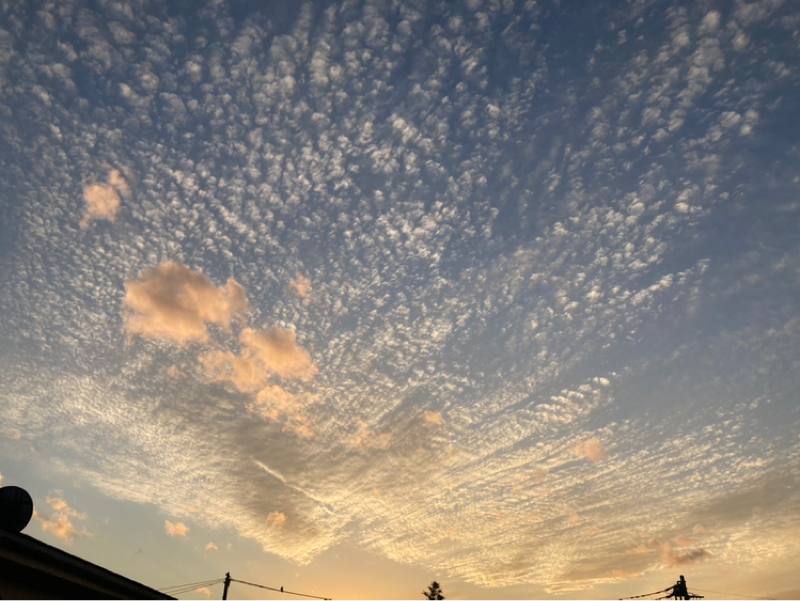 2025.11/16 タイムマシーンに乗る