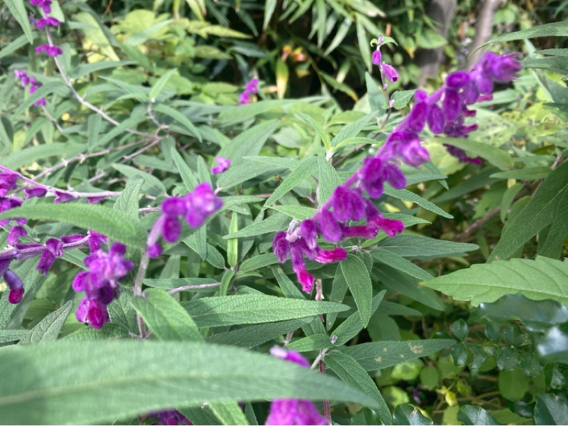 2025.11/18  不安定はネガティブではない