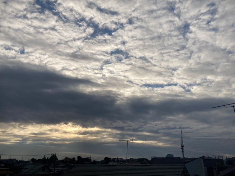 2025.11/25 波動の広がり