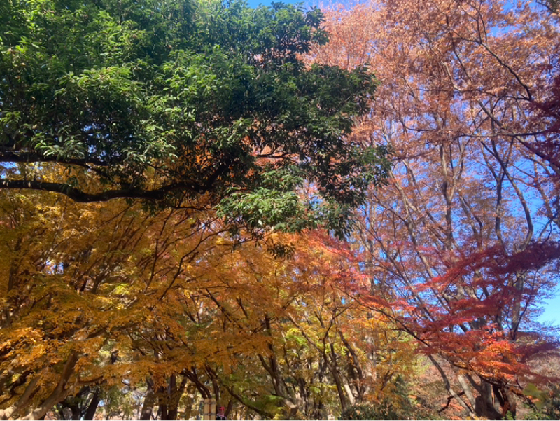 2025.11/30 反応で出た感情は宝もの