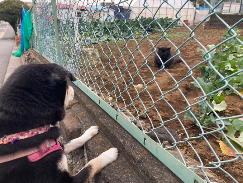 2025.12/3 自分の感覚を大事に選ぶ