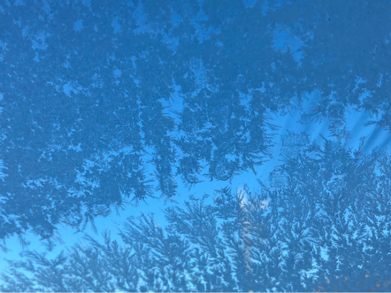 2025.12/5 呼吸したり触れたり