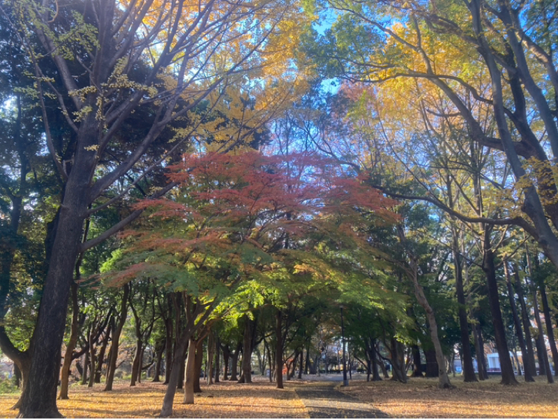 2025.12/6 揺れてるから移動しやすい