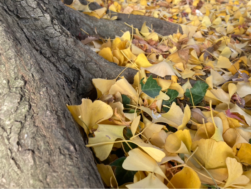 2025.12/9 自分の価値を下げている