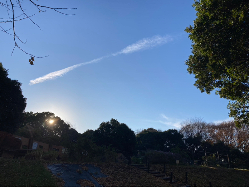 2025.12/10 種まきしたら