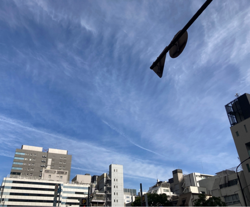 2025.12/11 想像と現実の区別がつかない