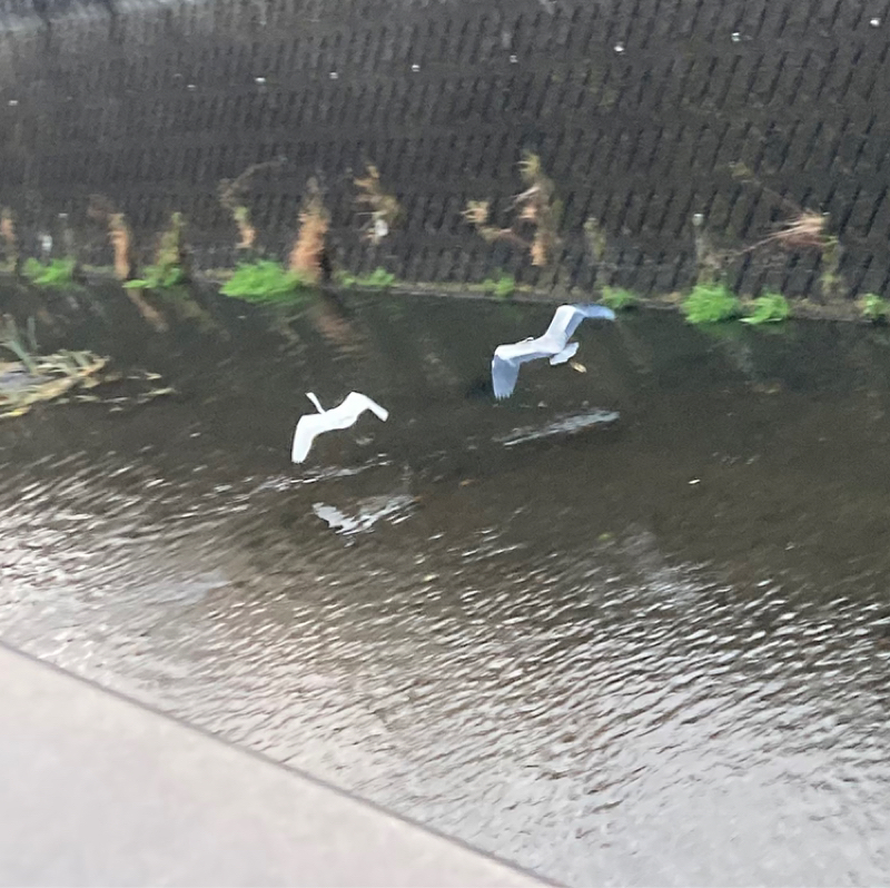 2025.12/14 全てよし