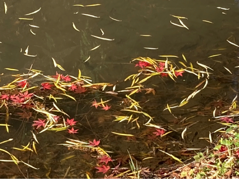 2025.12/16 変容の速度を促す