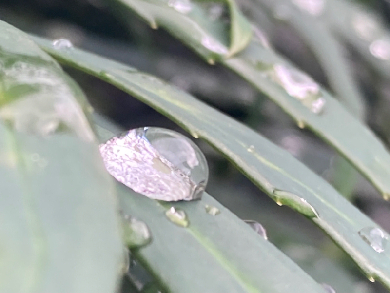 2025.12/21 感謝の巨大な集合意識