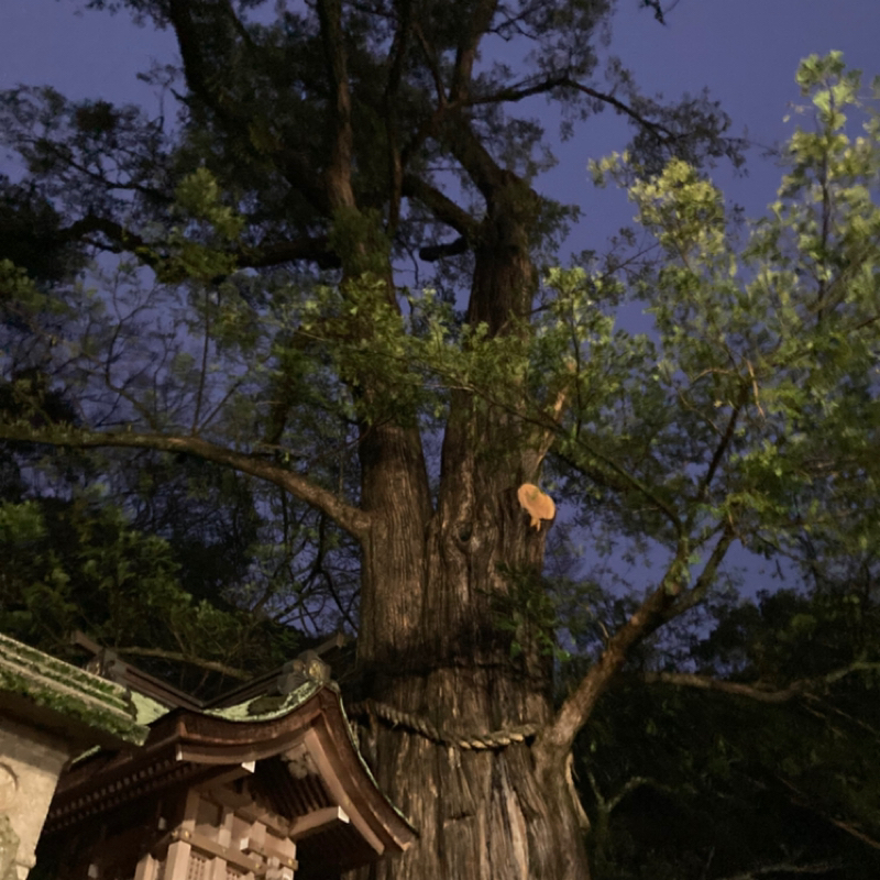 2025.12/25 不思議な奈良の導き