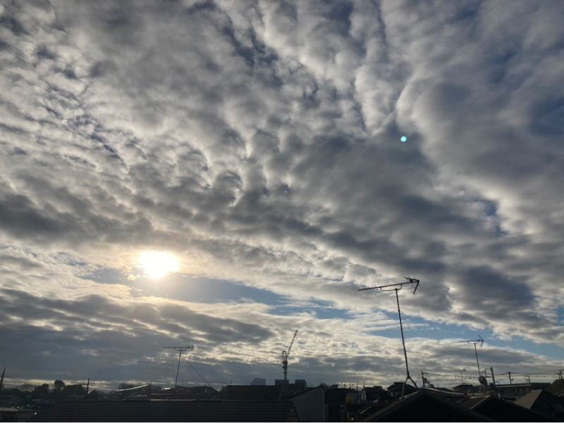 2025.12/29 自然がお手本