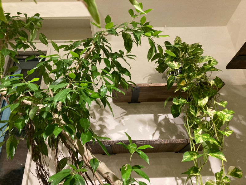 2025.12/30 意識を変えるには呼吸に集中