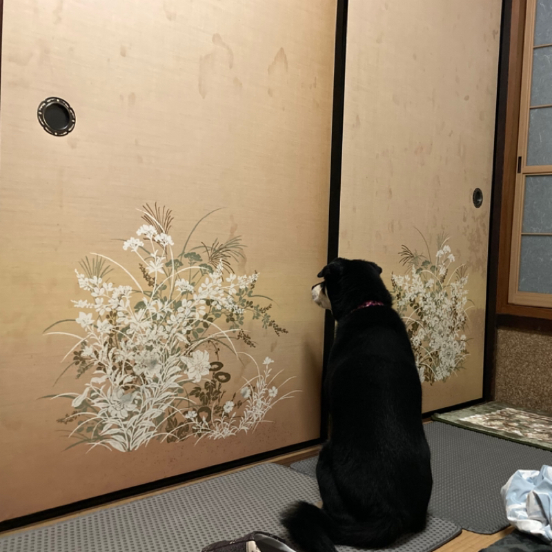 2025.12/31 確固たるパズルの1ピース